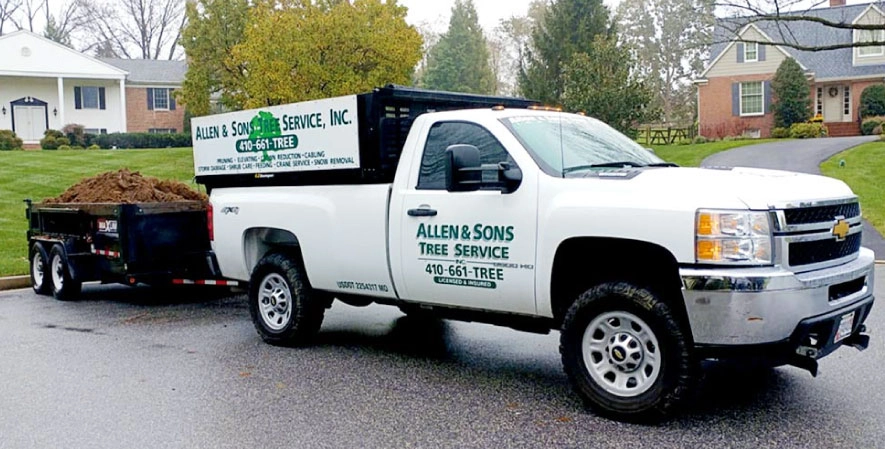 Merchant Spotlight: Allen and Sons Tree Service
